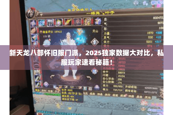 新天龙八部怀旧服门派,2025独家数据大对比,私服玩家速看秘籍! 新天龙八部怀旧服门派,2025独家数据大对比,私服玩家速看秘籍!