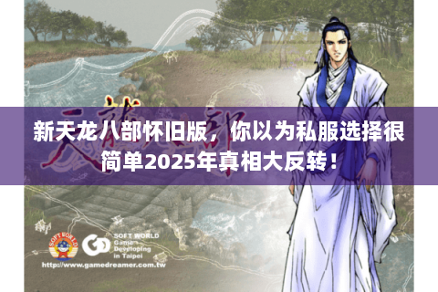 新天龙八部怀旧版,你以为私服选择很简单2025年真相大反转! 新天龙八部怀旧版,你以为私服选择很简单2025年真相大反转!