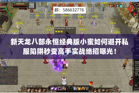 新天龙八部永恒经典版小蜜如何避开私服陷阱秒变高手实战绝招曝光! 新天龙八部永恒经典版小蜜如何避开私服陷阱秒变高手实战绝招曝光!