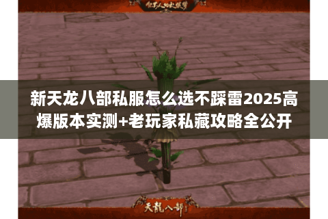 新天龙八部私服怎么选不踩雷2025高爆版本实测+老玩家私藏攻略全公开 新天龙八部私服怎么选不踩雷2025高爆版本实测+老玩家私藏攻略全公开