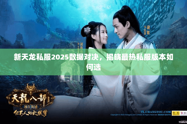 新天龙私服2025数据对决,揭晓最热私服版本如何选 新天龙私服2025数据对决,揭晓最热私服版本如何选