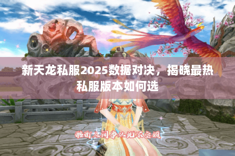 新天龙私服2025数据对决,揭晓最热私服版本如何选 新天龙私服2025数据对决,揭晓最热私服版本如何选