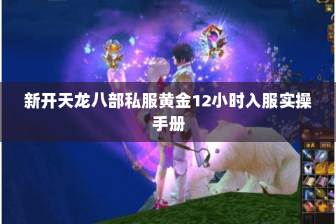 新开天龙八部私服黄金12小时入服实操手册 新开天龙八部私服黄金12小时入服实操手册
