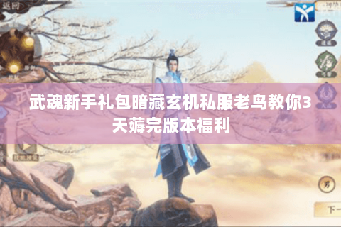 武魂新手礼包暗藏玄机私服老鸟教你3天薅完版本福利