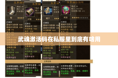 武魂激活码在私服里到底有啥用 武魂激活码在私服里到底有啥用