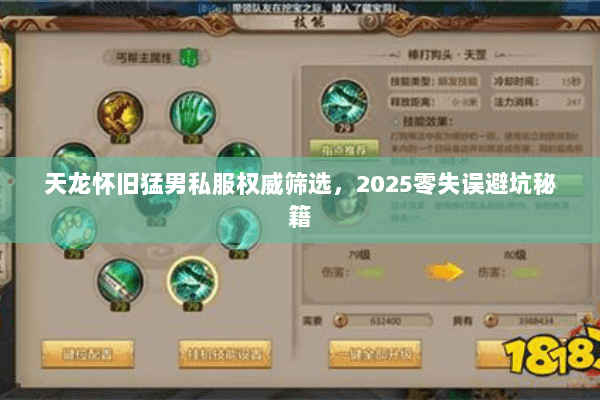 天龙怀旧猛男私服权威筛选，2025零失误避坑秘籍