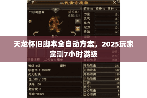天龙怀旧脚本全自动方案,2025玩家实测7小时满级 天龙怀旧脚本全自动方案,2025玩家实测7小时满级