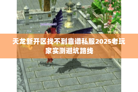天龙新开区找不到靠谱私服2025老玩家实测避坑路线 天龙新开区找不到靠谱私服2025老玩家实测避坑路线