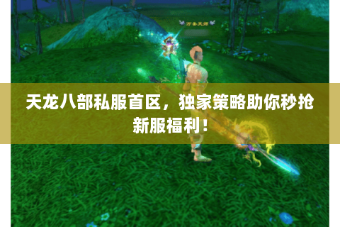 天龙八部私服首区，独家策略助你秒抢新服福利！