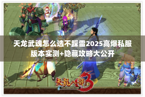 天龙武魂怎么选不踩雷2025高爆私服版本实测+隐藏攻略大公开 天龙武魂怎么选不踩雷2025高爆私服版本实测+隐藏攻略大公开