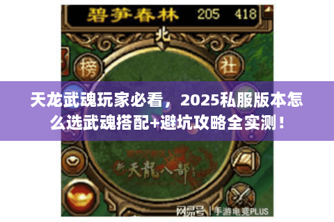 天龙武魂玩家必看，2025私服版本怎么选武魂搭配+避坑攻略全实测！