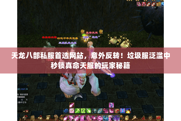 天龙八部私服首选网站,意外反转!垃圾服泛滥中秒锁真命天服的玩家秘籍 天龙八部私服首选网站,意外反转!垃圾服泛滥中秒锁真命天服的玩家秘籍