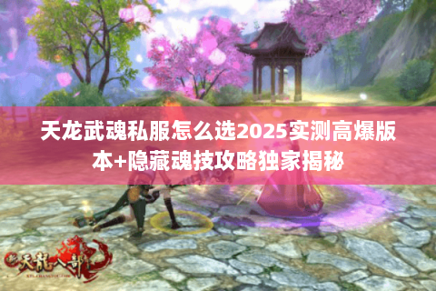 天龙武魂私服怎么选2025实测高爆版本+隐藏魂技攻略独家揭秘