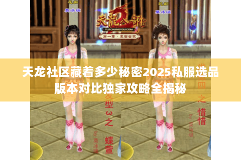 天龙社区藏着多少秘密2025私服选品版本对比独家攻略全揭秘 天龙社区藏着多少秘密2025私服选品版本对比独家攻略全揭秘
