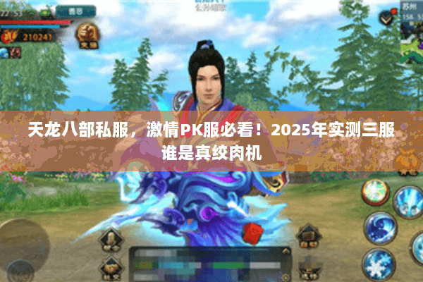 天龙八部私服,激情PK服必看!2025年实测三服谁是真绞肉机 天龙八部私服,激情PK服必看!2025年实测三服谁是真绞肉机