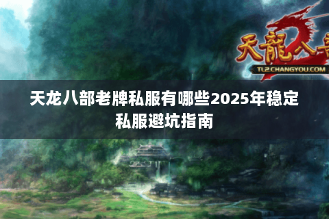 天龙八部老牌私服有哪些2025年稳定私服避坑指南 天龙八部老牌私服有哪些2025年稳定私服避坑指南