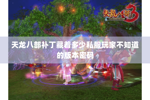 天龙八部补丁藏着多少私服玩家不知道的版本密码