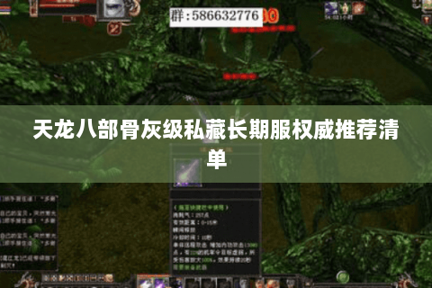 天龙八部骨灰级私藏长期服权威推荐清单 天龙八部骨灰级私藏长期服权威推荐清单