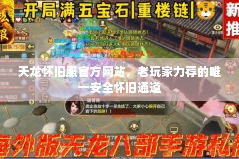 天龙怀旧服官方网站,老玩家力荐的唯一安全怀旧通道 天龙怀旧服官方网站,老玩家力荐的唯一安全怀旧通道