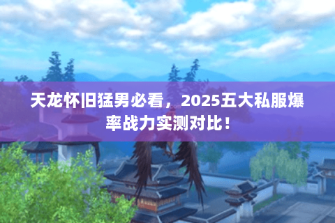 天龙怀旧猛男必看,2025五大私服爆率战力实测对比! 天龙怀旧猛男必看,2025五大私服爆率战力实测对比!