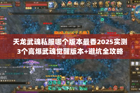 天龙武魂私服哪个版本最香2025实测3个高爆武魂觉醒版本+避坑全攻略 天龙武魂私服哪个版本最香2025实测3个高爆武魂觉醒版本+避坑全攻略