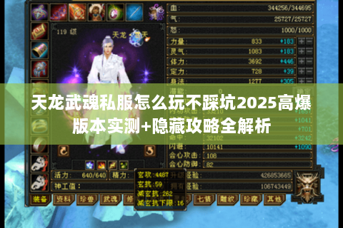 天龙武魂私服怎么玩不踩坑2025高爆版本实测+隐藏攻略全解析 天龙武魂私服怎么玩不踩坑2025高爆版本实测+隐藏攻略全解析