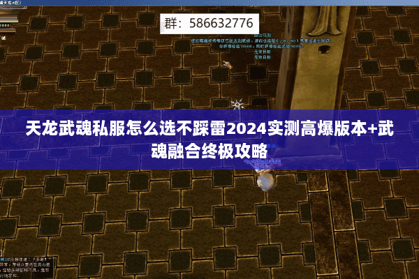 天龙武魂私服怎么选不踩雷2024实测高爆版本+武魂融合终极攻略 天龙武魂私服怎么选不踩雷2024实测高爆版本+武魂融合终极攻略