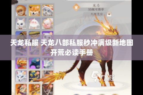 天龙私服 天龙八部私服秒冲满级新地图开荒必读手册 天龙私服 天龙八部私服秒冲满级新地图开荒必读手册