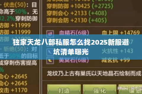 独家天龙八部私服怎么找2025新服避坑清单曝光 独家天龙八部私服怎么找2025新服避坑清单曝光