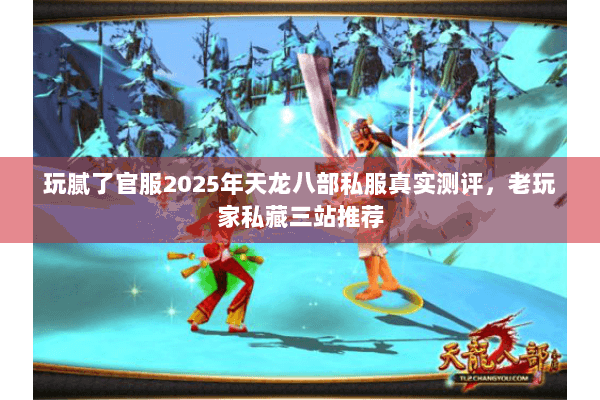 玩腻了官服2025年天龙八部私服真实测评,老玩家私藏三站推荐 玩腻了官服2025年天龙八部私服真实测评,老玩家私藏三站推荐