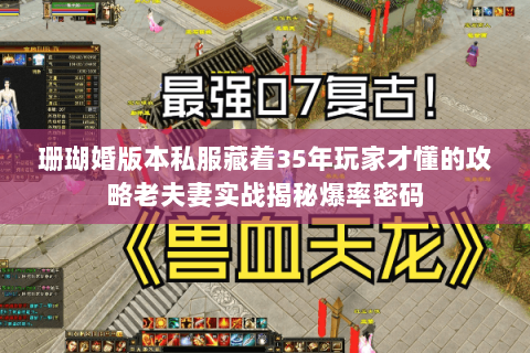 珊瑚婚版本私服藏着35年玩家才懂的攻略老夫妻实战揭秘爆率密码 珊瑚婚版本私服藏着35年玩家才懂的攻略老夫妻实战揭秘爆率密码