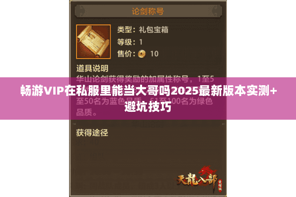 畅游VIP在私服里能当大哥吗2025最新版本实测+避坑技巧 畅游VIP在私服里能当大哥吗2025最新版本实测+避坑技巧