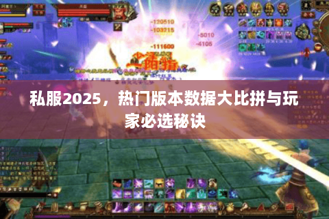 私服2025,热门版本数据大比拼与玩家必选秘诀 私服2025,热门版本数据大比拼与玩家必选秘诀
