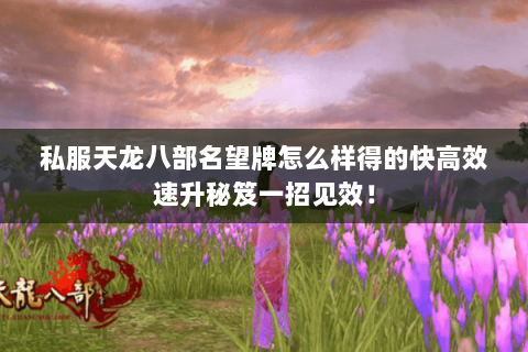 私服天龙八部名望牌怎么样得的快高效速升秘笈一招见效! 私服天龙八部名望牌怎么样得的快高效速升秘笈一招见效!