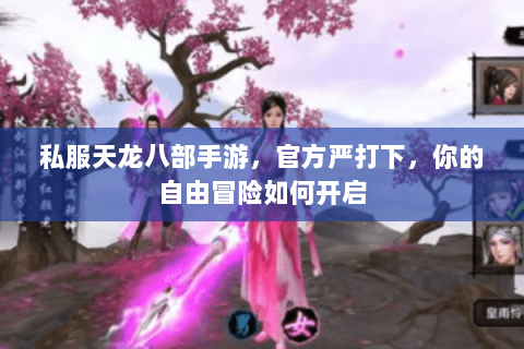 私服天龙八部手游，官方严打下，你的自由冒险如何开启