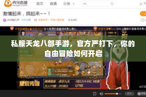 私服天龙八部手游，官方严打下，你的自由冒险如何开启