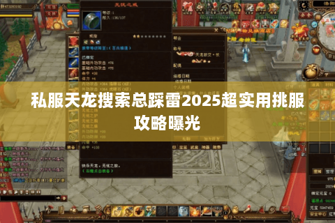 私服天龙搜索总踩雷2025超实用挑服攻略曝光 私服天龙搜索总踩雷2025超实用挑服攻略曝光