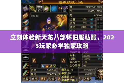 立刻体验新天龙八部怀旧服私服,2025玩家必学独家攻略 立刻体验新天龙八部怀旧服私服,2025玩家必学独家攻略
