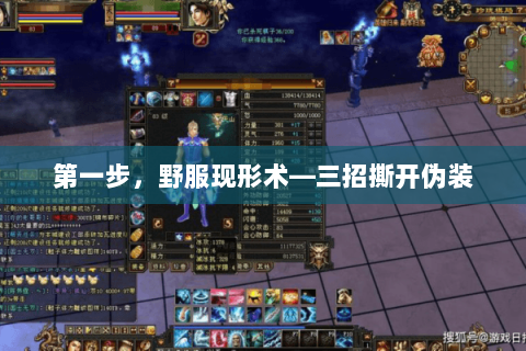 第一步,野服现形术—三招撕开伪装 第一步,野服现形术—三招撕开伪装