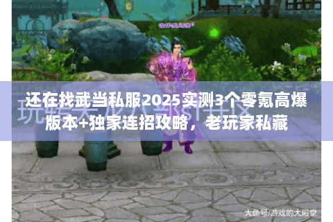 还在找武当私服2025实测3个零氪高爆版本+独家连招攻略,老玩家私藏 还在找武当私服2025实测3个零氪高爆版本+独家连招攻略,老玩家私藏