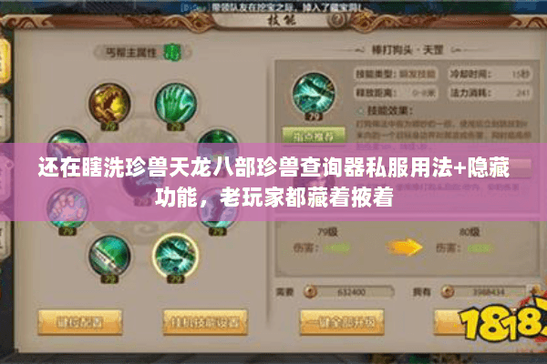 还在瞎洗珍兽天龙八部珍兽查询器私服用法+隐藏功能,老玩家都藏着掖着 还在瞎洗珍兽天龙八部珍兽查询器私服用法+隐藏功能,老玩家都藏着掖着