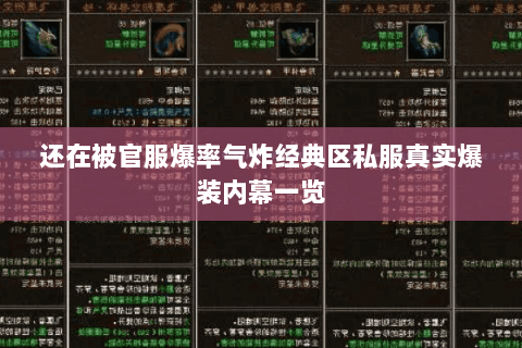 还在被官服爆率气炸经典区私服真实爆装内幕一览
