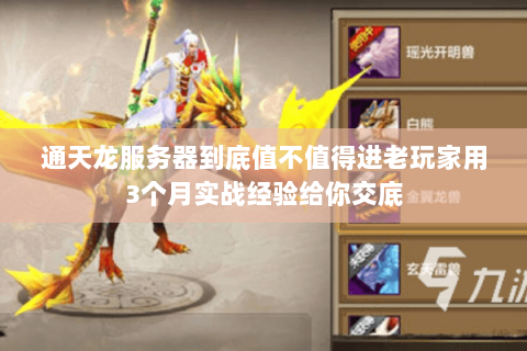 通天龙服务器到底值不值得进老玩家用3个月实战经验给你交底