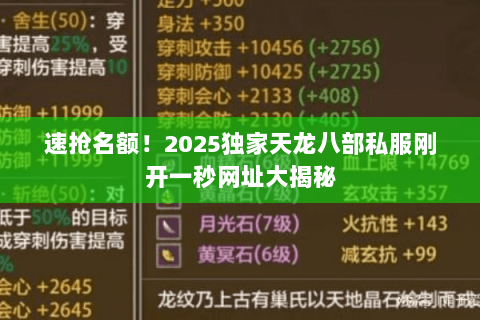 速抢名额！2025独家天龙八部私服刚开一秒网址大揭秘