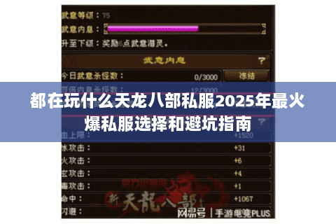 都在玩什么天龙八部私服2025年最火爆私服选择和避坑指南 都在玩什么天龙八部私服2025年最火爆私服选择和避坑指南