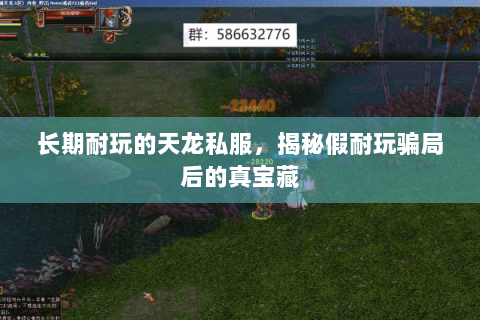 长期耐玩的天龙私服,揭秘假耐玩骗局后的真宝藏 长期耐玩的天龙私服,揭秘假耐玩骗局后的真宝藏