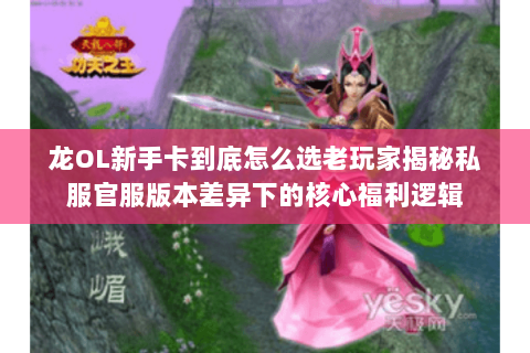 龙OL新手卡到底怎么选老玩家揭秘私服官服版本差异下的核心福利逻辑