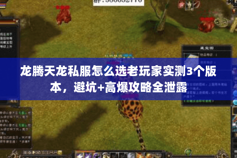龙腾天龙私服怎么选老玩家实测3个版本,避坑+高爆攻略全泄露 龙腾天龙私服怎么选老玩家实测3个版本,避坑+高爆攻略全泄露