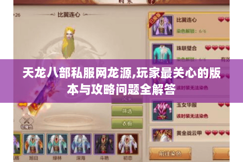 天龙八部私服网龙源,玩家最关心的版本与攻略问题全解答 天龙八部私服网龙源,玩家最关心的版本与攻略问题全解答