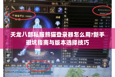 天龙八部私服熊猫登录器怎么用?新手避坑指南与版本选择技巧